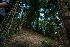 BIB: 
                            <button type="button" onclick="openModal(19395669)" class="btn btn-primary btn-sm float-right btn-popup" data-toggle="modal" data-target=".modal-high-quality">
                        <i class="fas fa-shopping-cart"></i> Add to Cart
                    </button>
                                            <button type="button" onclick="isThisMe(19395669, true)" class="btn btn-success btn-sm float-right btn-popup btn-isme hidden" data-toggle="tooltip" data-placement="bottom" title="นี่คือรูปของคุณใช่ไหม คลิกที่นี่เพื่อเอาเข้าอัลบั้ม">
                        <i class="fas fa-plus"></i> Add to album
                    </button>
                    <button type="button" onclick="isThisMe(19395669, false)" class="btn btn-warning btn-sm float-right btn-popup btn-isnotme hidden">
                        <i class="fas fa-ban"></i> Remove from album
                    </button>